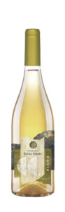 vino fiano puglia